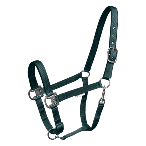 Waldhausen Halter Gloomy