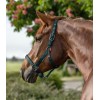 Waldhausen Halter Gloomy