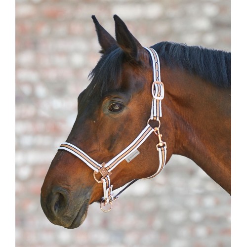 Waldhausen Halter Shine