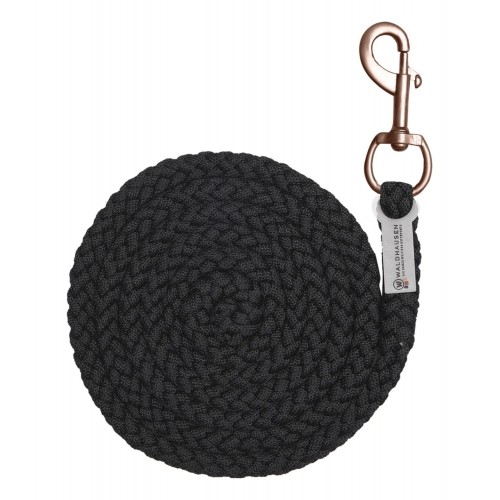 Waldhausen Leadrope Shine with Carabiner