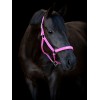 Horseguard Halter Malva