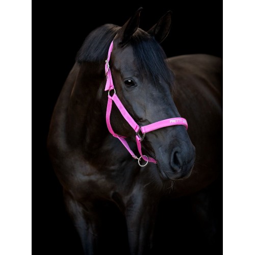 Horseguard Halter Malva