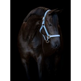 Horseguard недоуздок Malva