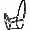 Waldhausen Halter Rosé