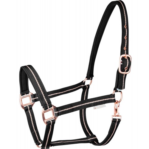 Waldhausen Halter Rosé