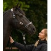 Waldhausen Leather Halter X-Line Polo
