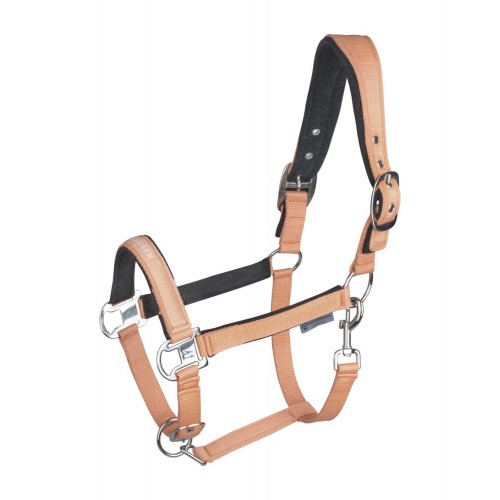 Waldhausen SS26 Halter Athletic