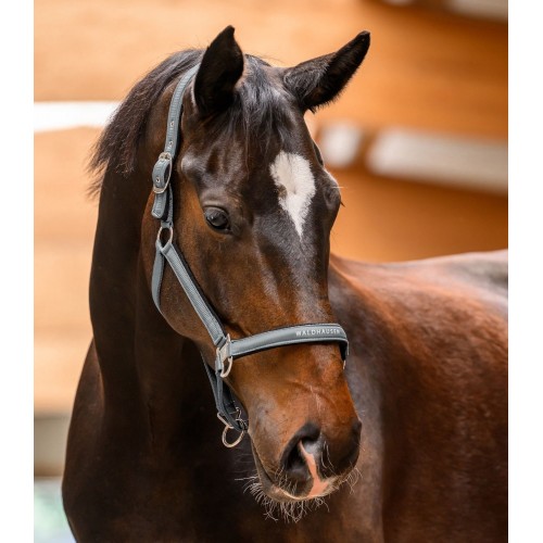Waldhausen SS26 Halter Athletic