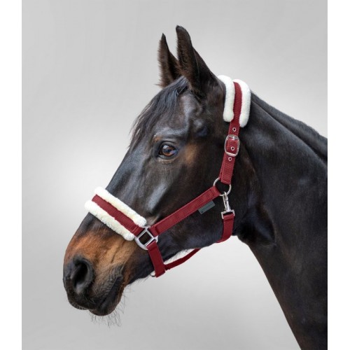 Waldhausen Halter First