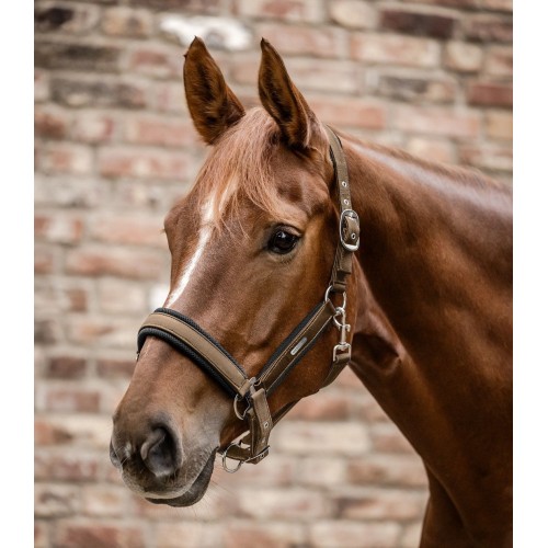 Waldhausen Breath Halter