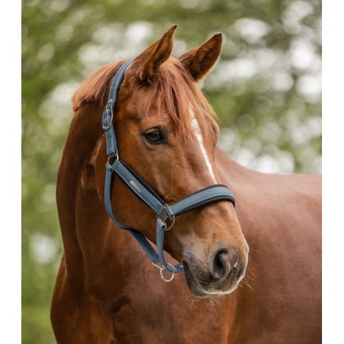 Waldhausen Breath Halter