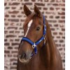Waldhausen Breath Halter