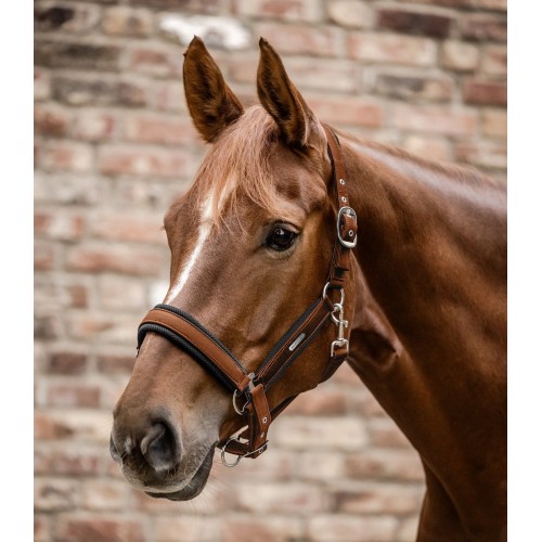 Waldhausen Breath Halter