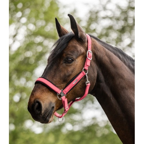 Waldhausen Breath Halter