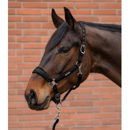Waldhausen Headворотник комплект Velvet