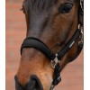 Waldhausen Headcollar Set Velvet
