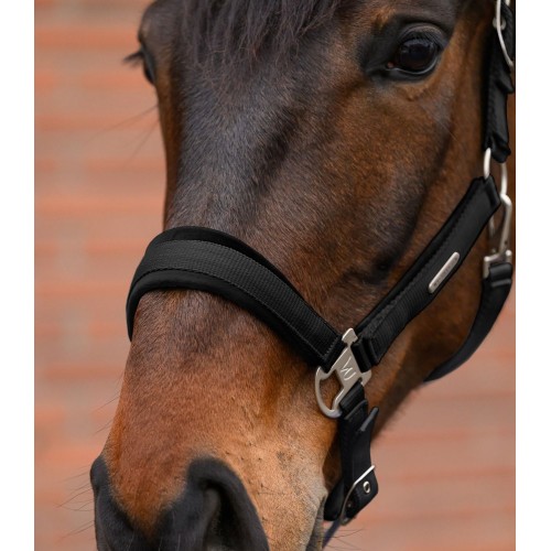 Waldhausen Headcollar Set Velvet