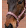 Waldhausen Headcollar Set Velvet