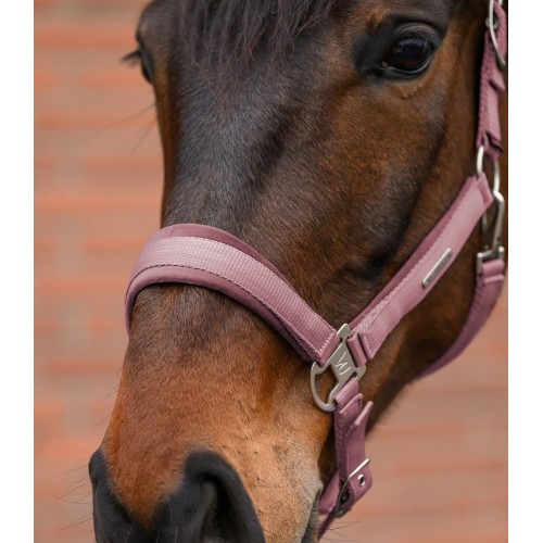 Waldhausen Headcollar Set Velvet