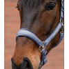 Waldhausen Headcollar Set Velvet