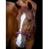 Horseguard Halter Malva
