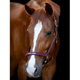 Horseguard недоуздок Malva