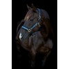 HorseGuard SS26 Angel halter
