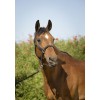 Equithème Glitter Halter and Lead Rope