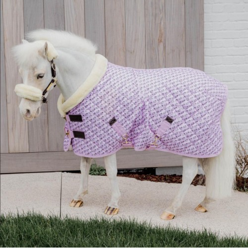 Kentucky Sammy Collection Show Rug