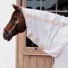 Kentucky Mesh Fly Rug Comfort Pied-de-Poule