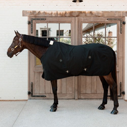 Kentucky Canvas Rug