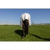 Kentucky Sweet Itch Fly & Summer Comfort Eczema Rug