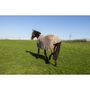 Kentucky Fly Rug with Belly Cover Comfort