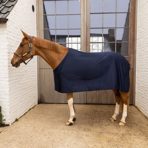 Kentucky Summer Sheet Light
