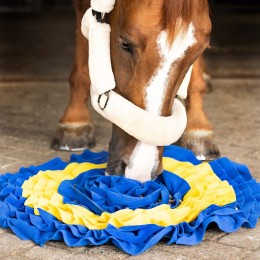 QHP Sniffing mat horses
