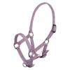 Imperial Riding SS25 Foal Halter