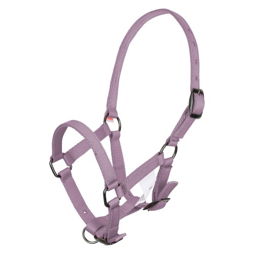 Imperial Riding SS25 Foal Halter