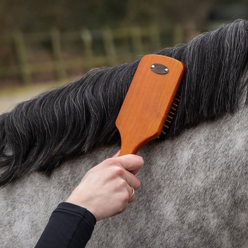 QHP Brush Set Royal