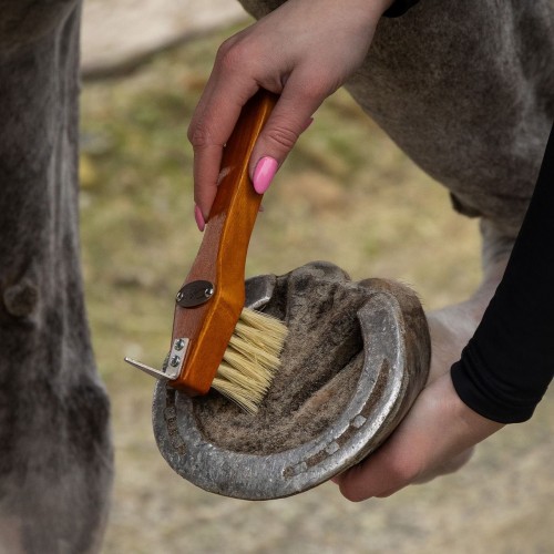 QHP Brush Set Royal
