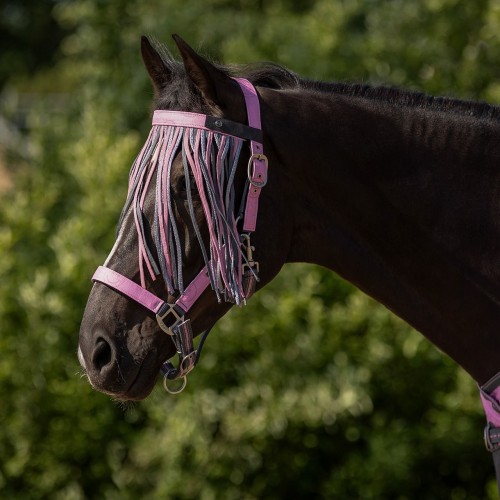 QHP SS26 Fly browband collection