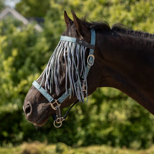 QHP SS26 Fly browband collection