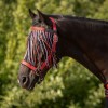 QHP SS26 Fly browband collection