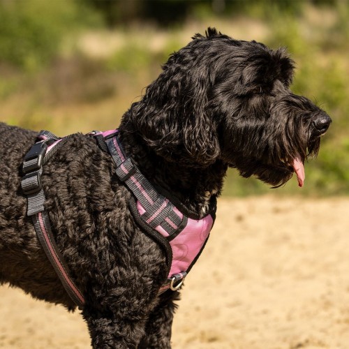 QHP SS26 Dog harness collection