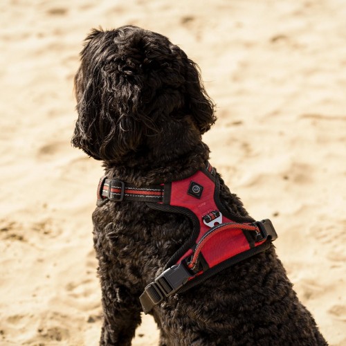 QHP SS26 Dog harness collection