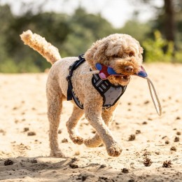 QHP SS26 Dog Toy коллекция