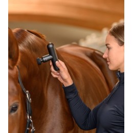 Waldhausen Health + Care Massage device PocketRelax