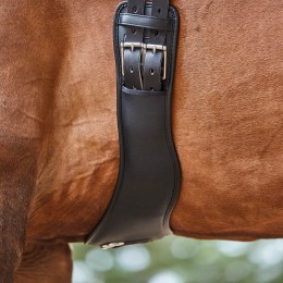 Collegiate Anatomic выездковая подпруга