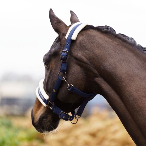 Imperial Riding FW25 Halter Jewel