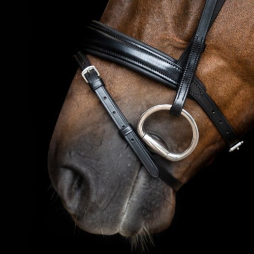 Imperial Riding Snaffle Bridle IRH simple combined noseband