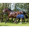 QHP Foal Turnout Rug 100g
